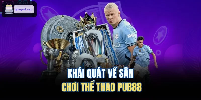 Khái quát về sân chơi thể thao 88BET